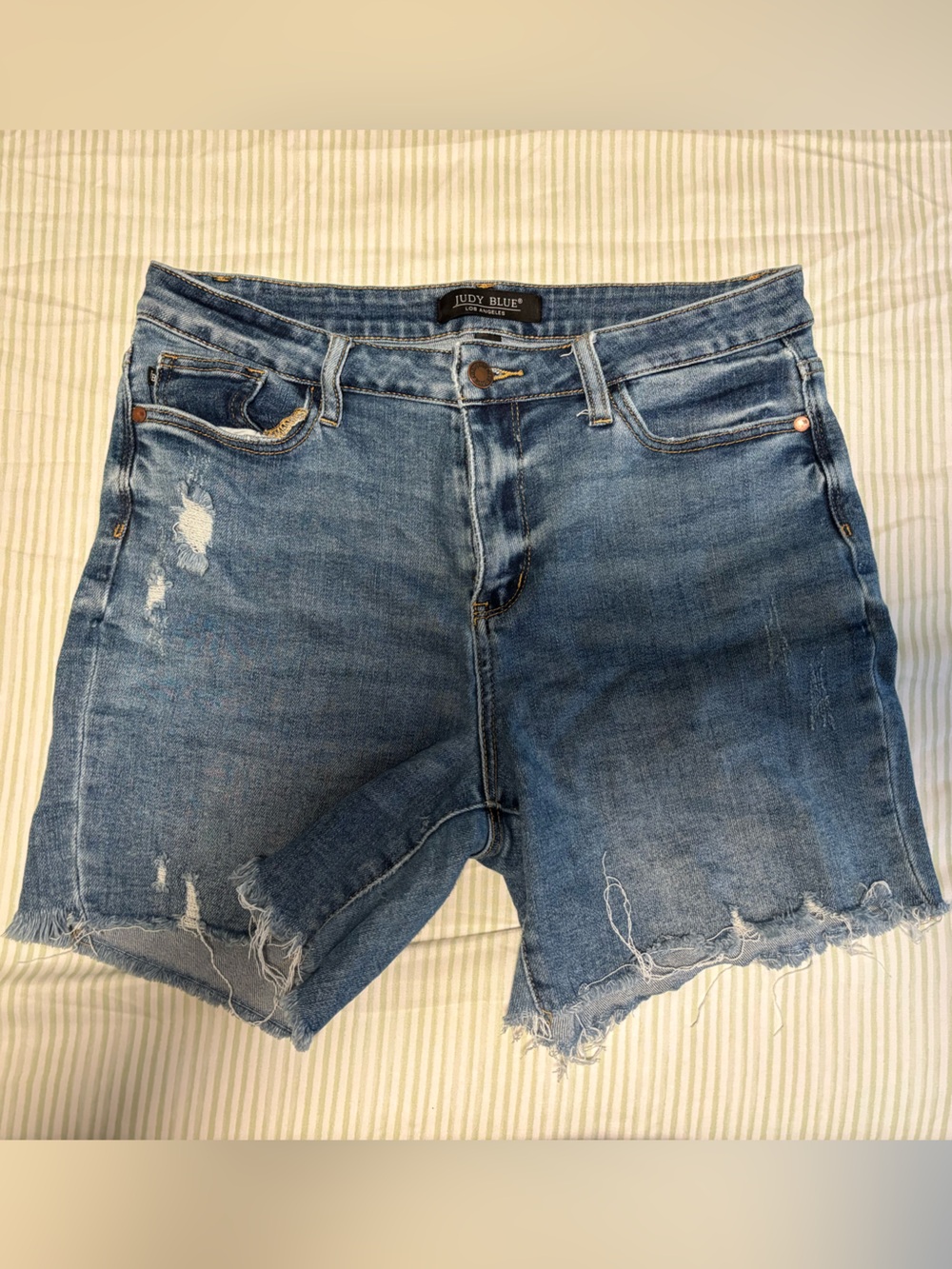 Judy Blue Light Blue Distressed Denim Cutoff Shorts